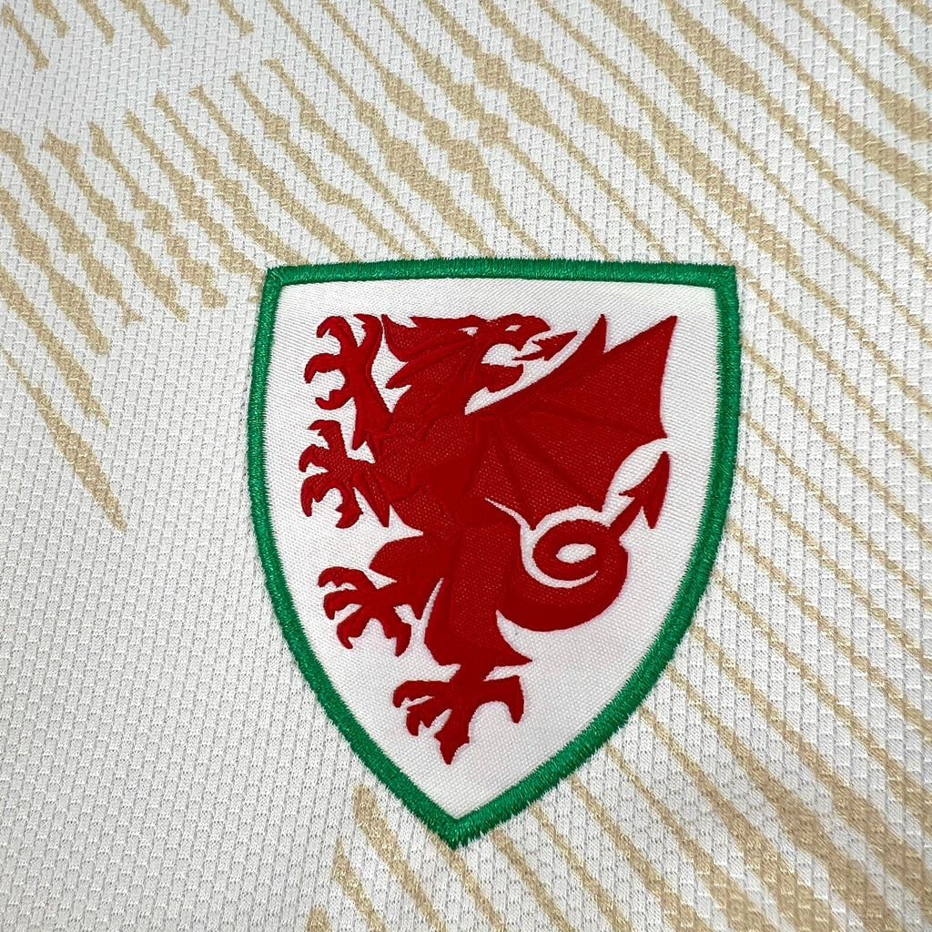PAÍS DE GALES 2026-27 WORLD CUP ALTERNATE JERSEY - MEN'S