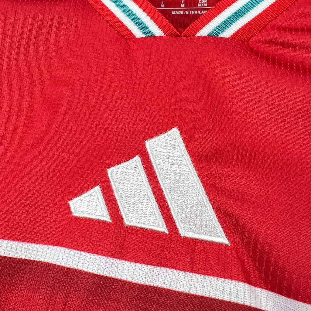 PAÍS DE GALES 2026/27 WORLD CUP HOME JERSEY - MEN'S